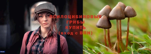 spice Горняк