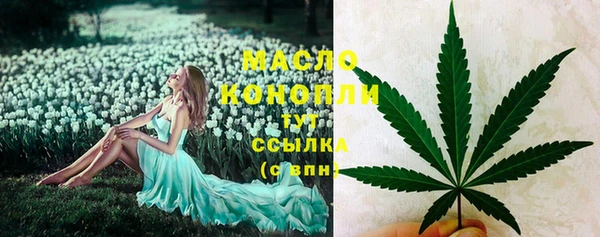 spice Горняк