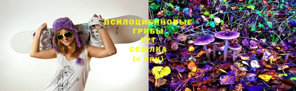 spice Горняк