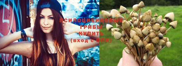 СК Горнозаводск